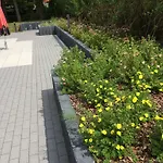아파트 Kleeblatthaus Ruegen *