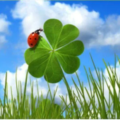 アパート Kleeblatthaus Ruegen